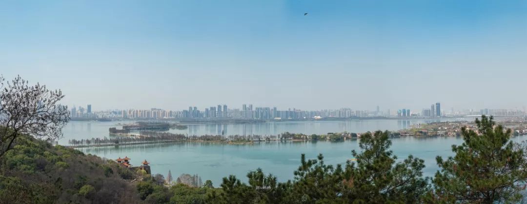 武汉景点免费网上预约,武汉景区免费景点推荐