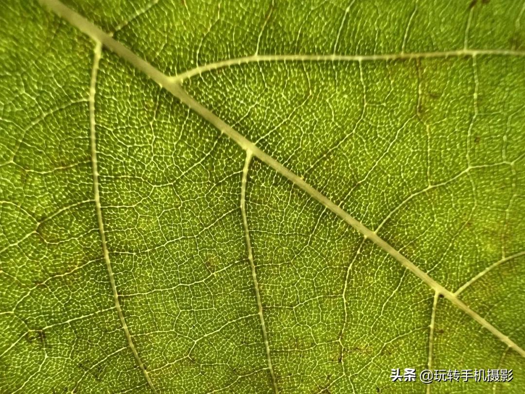 iphone13系列,iphone13原相机怎么拍照更好看