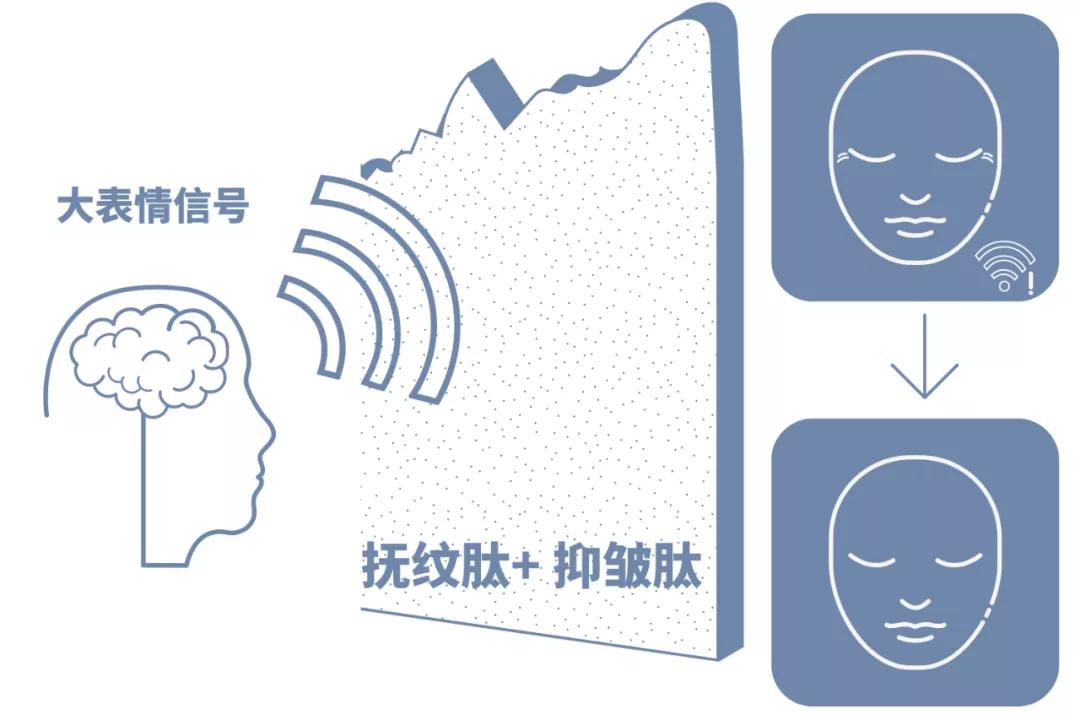 眼纹小熨斗,淡化眼纹小熨斗
