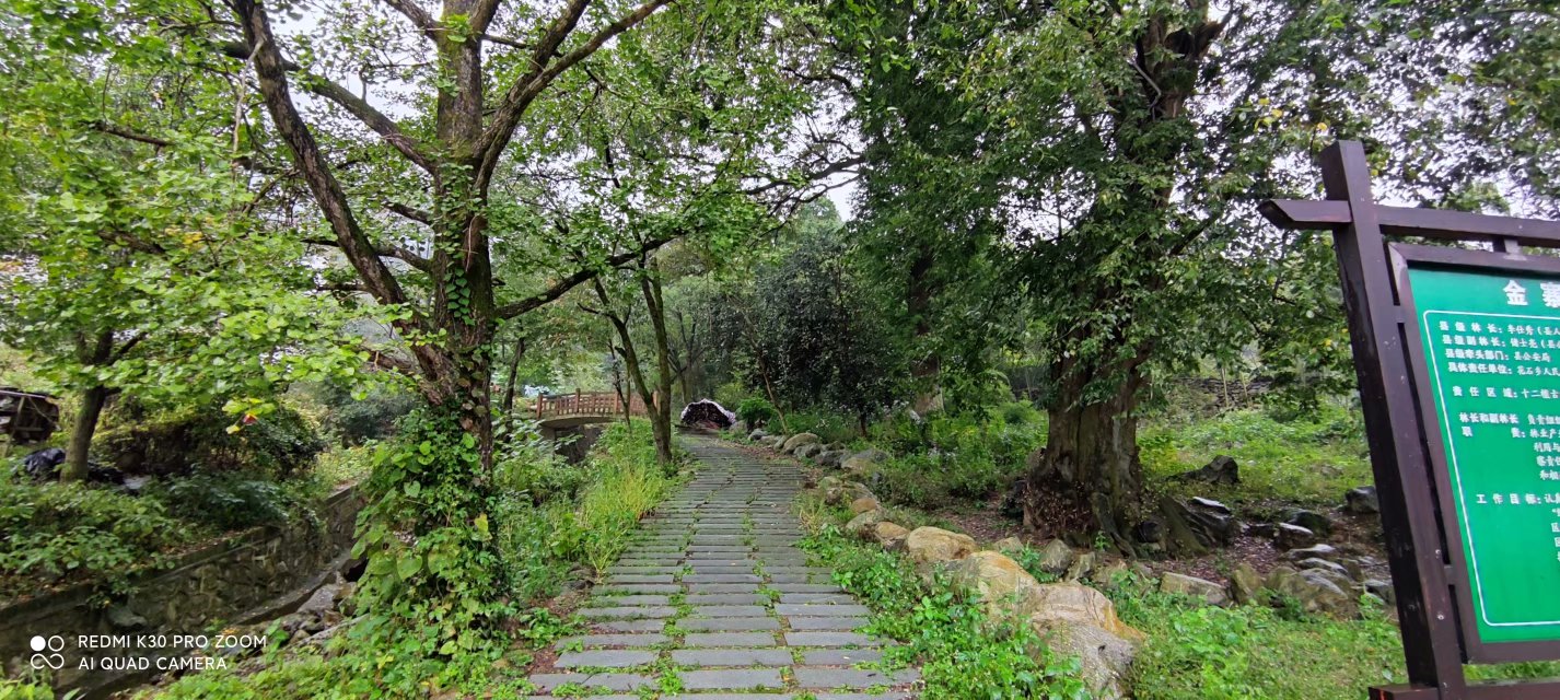 穿越马丁公路详解三种玩法,马丁公路自驾游攻略