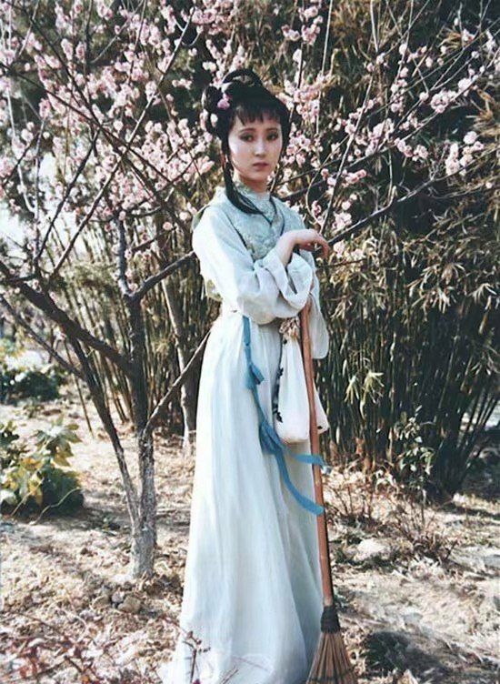 红楼梦中姽婳将军,红楼梦三姑娘的秘密