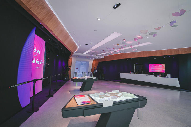 一人一猫环游,一人一猫旅行