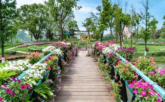 五一不能错过的花海,五一不能错过的美丽花海