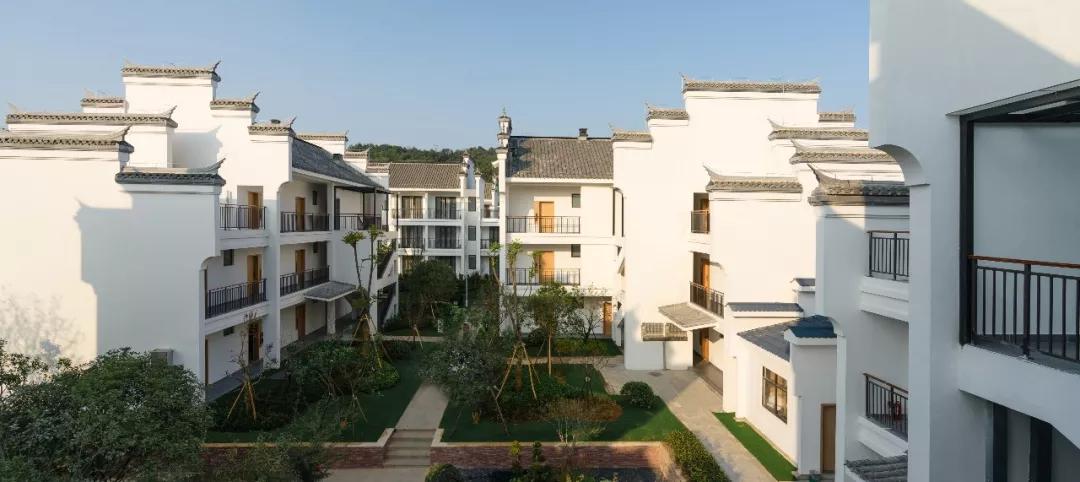 旗开得胜冠军表演赛,棋开得胜节目