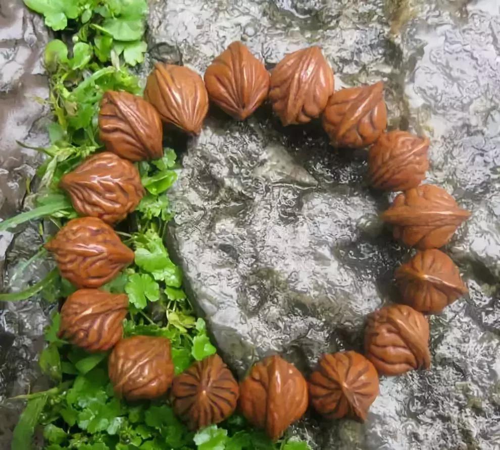 认识了70种菩提，您就是半个专家，再逛文玩市场就没有压力啦！