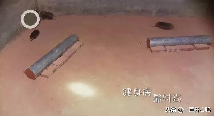 致富经节目现在怎么样了,致富经里的节目真实吗