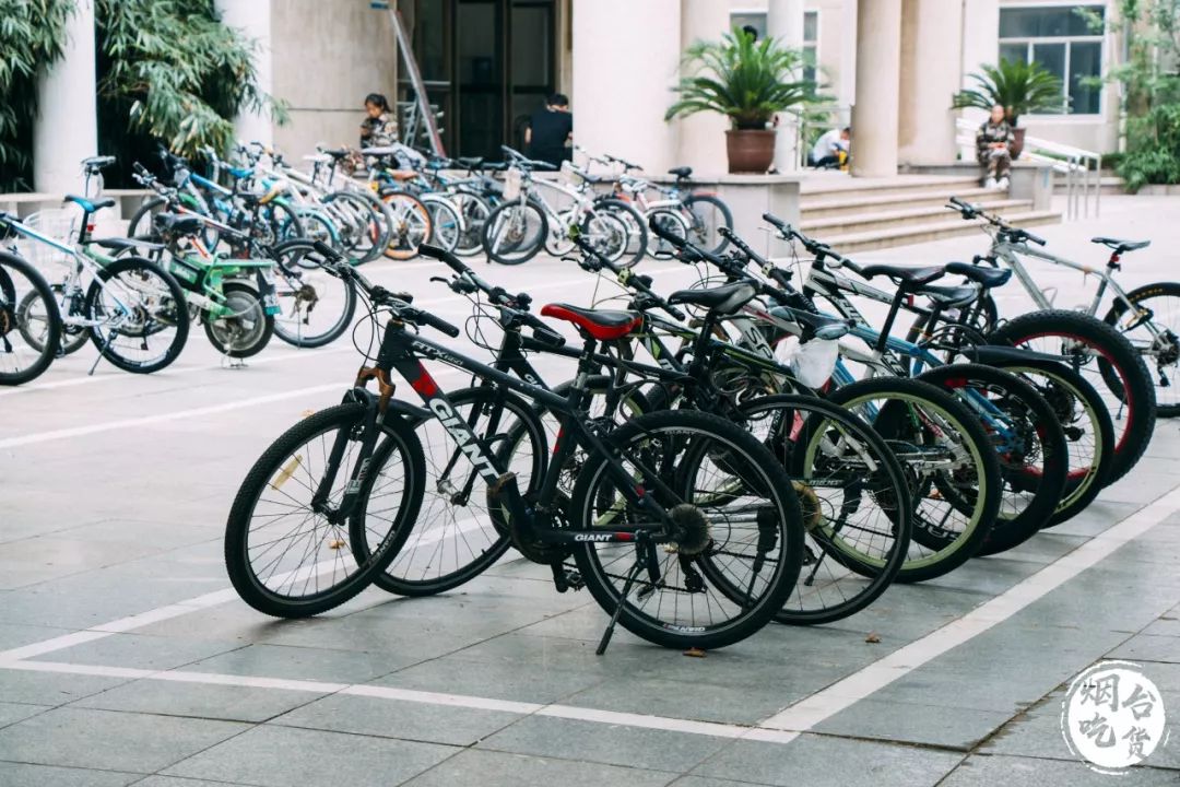烟台大学各个餐厅,烟台大学有几家餐厅