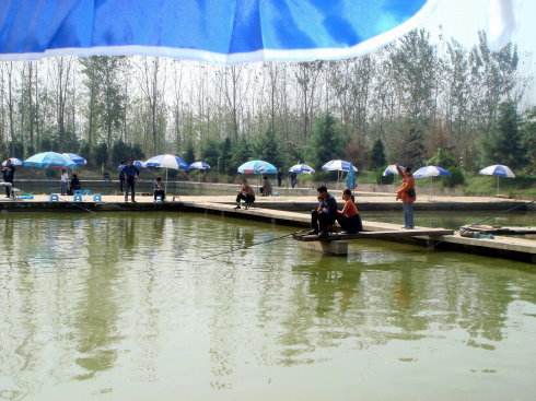 4个适合农村创业好路子,发现几个适合农村创业的好路子