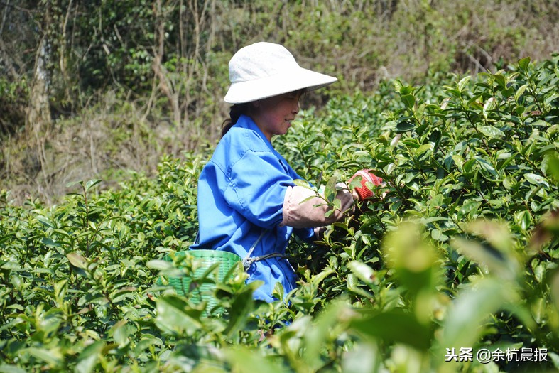 走进中泰,这里是泰国