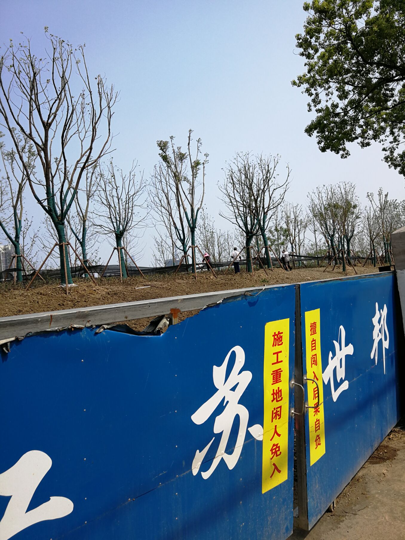 江阴锡澄运河的历史,锡澄运河老照片