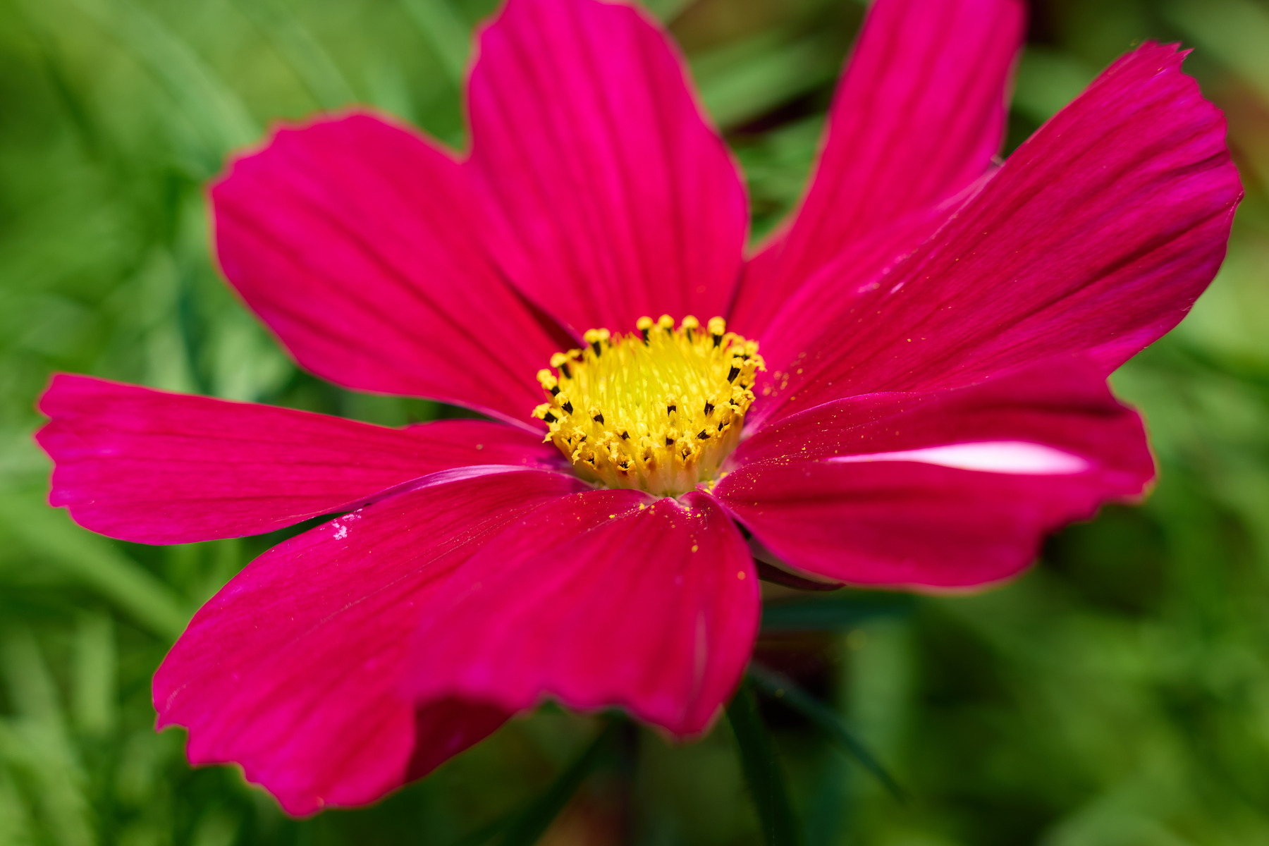 适马sigma60-600mm拍月亮,适马sigma18-50mmf2.8dcdn测评