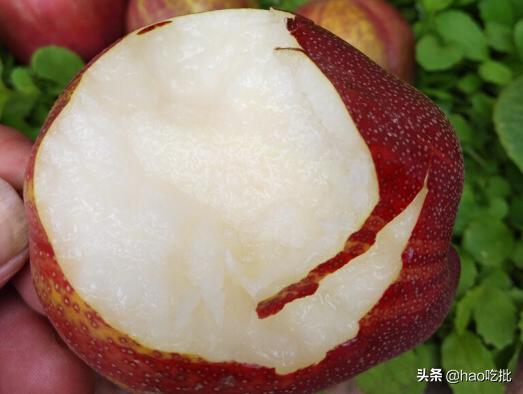 这个夏天绝不能错过的高营养水果,夏季最不容错过的4种水果