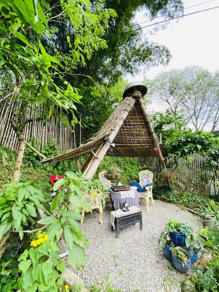 重庆的这些茶馆，能让时间慢下来