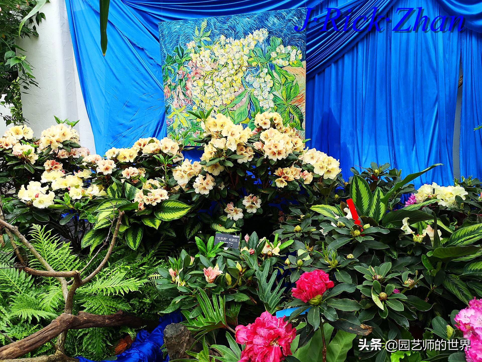 园艺现状和发展前景,园艺研学基地