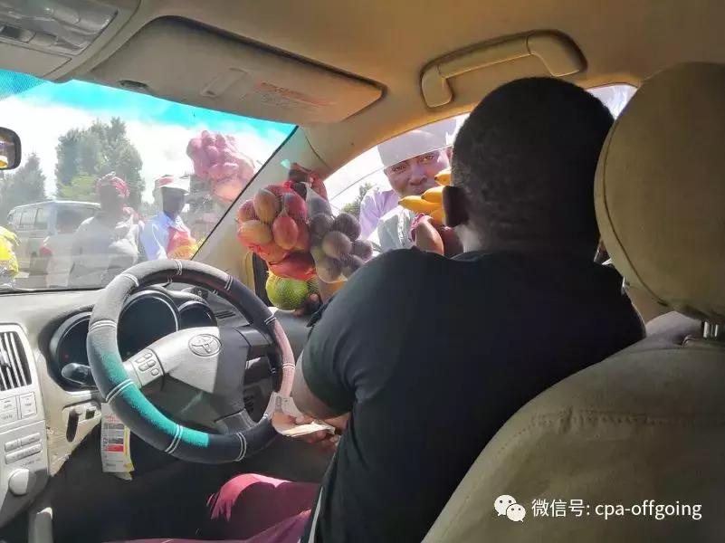 这个野奢的国度,欧美、日韩人都爱去,为何我们国家没人去?