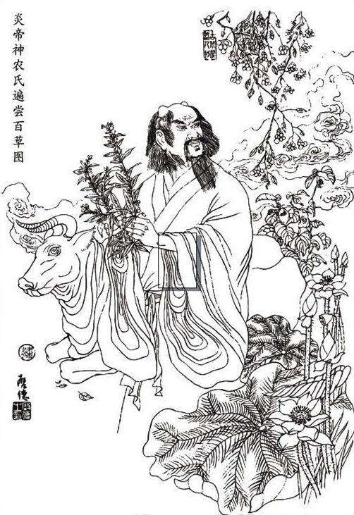 神农尝百草与中国农耕文化,神农尝百草有哪些习俗