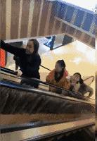 可爱小姐姐搞笑动图图片,搞笑动图小姐姐你引起了我的注意