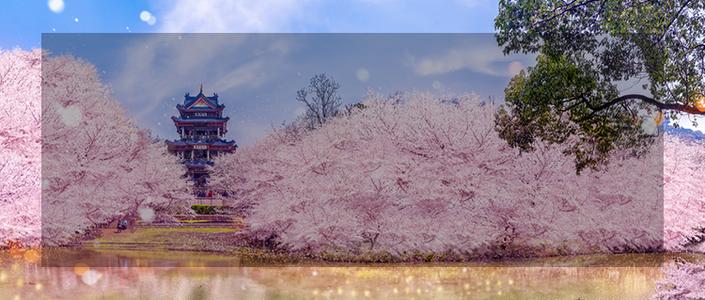 学习日语语法入门视频,学习日语的5个小技巧