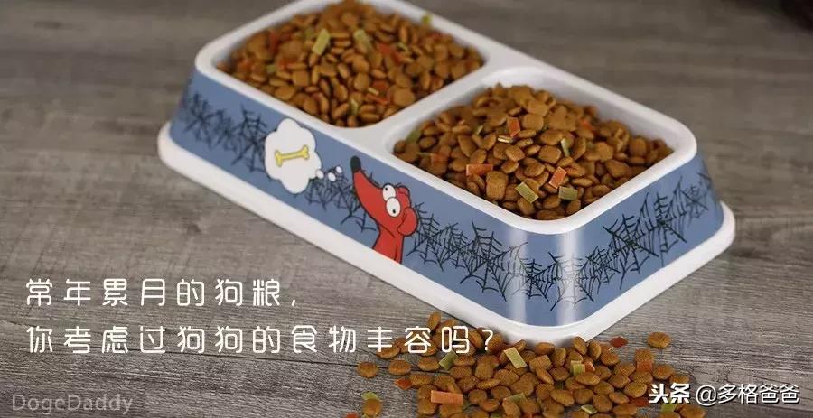 狗走姿是怎么学的,训练狗狗遛狗的正确方法