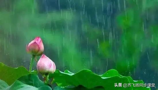 描写夏天的成语题10道,常见描写夏天的成语