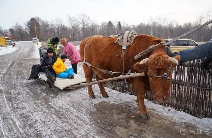 不忽悠！“拔草”这些小村屯才不辜负这个冬天