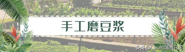 让孩子体验农耕生活的地方,儿童农耕生活体验