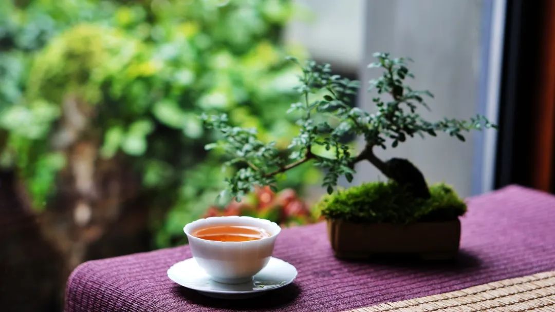 陆羽茶经之咏茶名篇,陆羽茶经经典文章