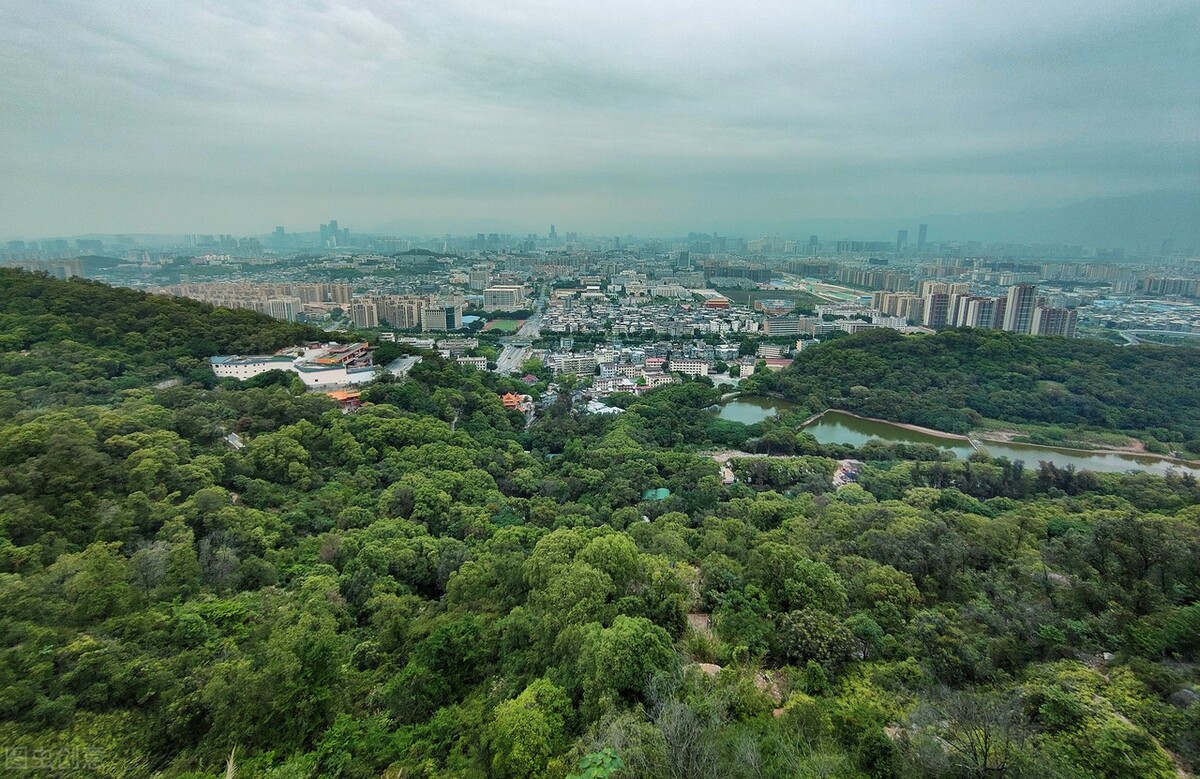 从仓山区洞悉福州全市的脉络所有福州城区装不下的仓山照单全收