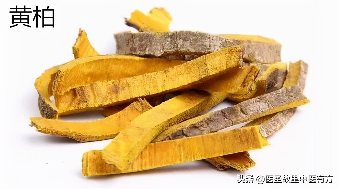 二妙丸治疗下焦湿热的验方,中医除湿热名方