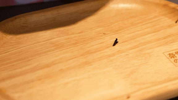 奈雪推荐果汁,奈雪选用了赣南脐橙