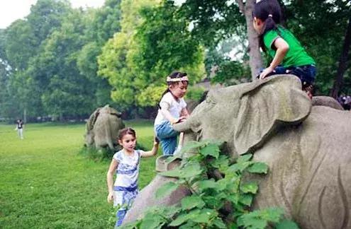 双流竟藏着如此绝美的“秘密公园”，约吗？