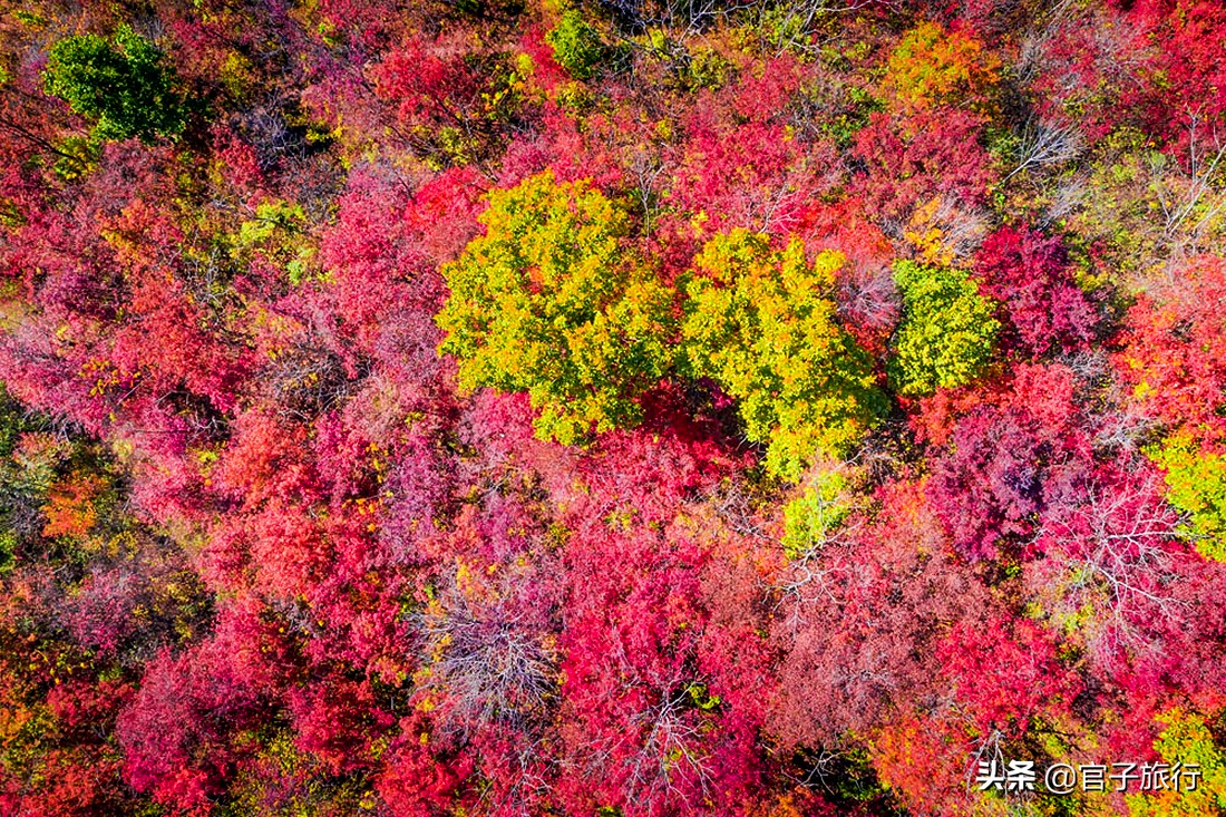 中华枫叶之路自驾游攻略,中华枫叶大道自驾游路线