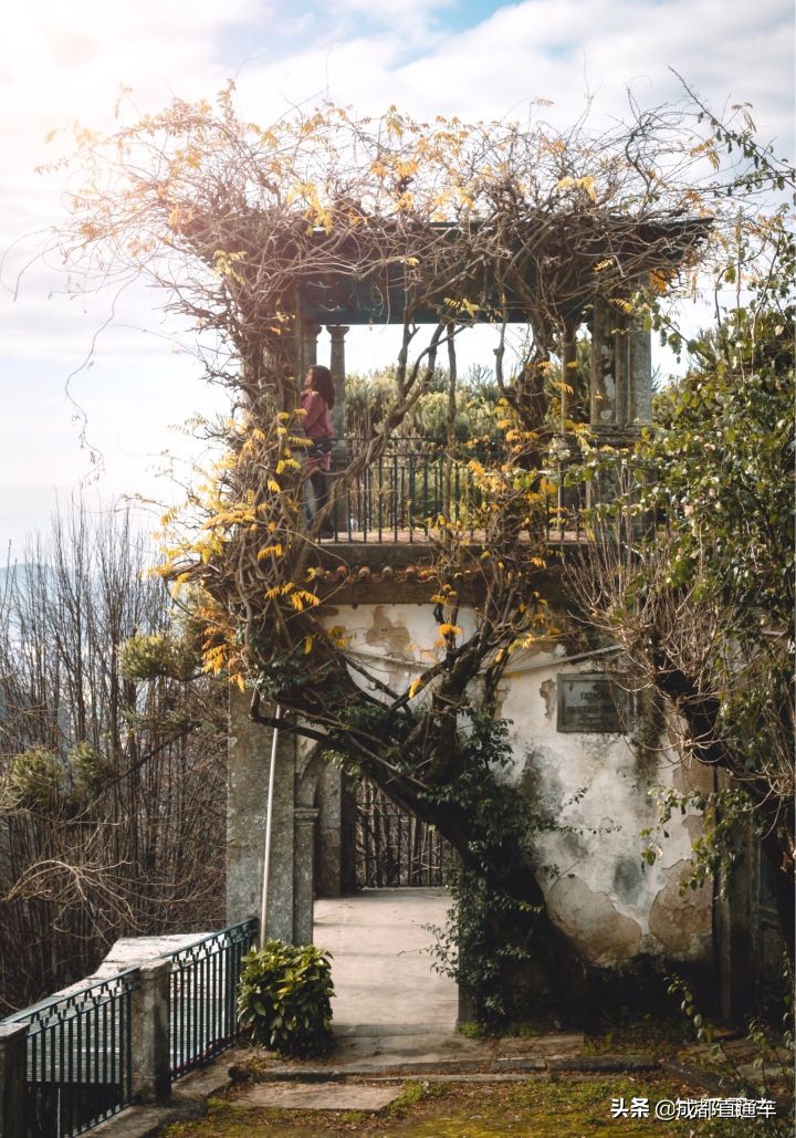 2019你都拍过什么,2019年最怀念的照片