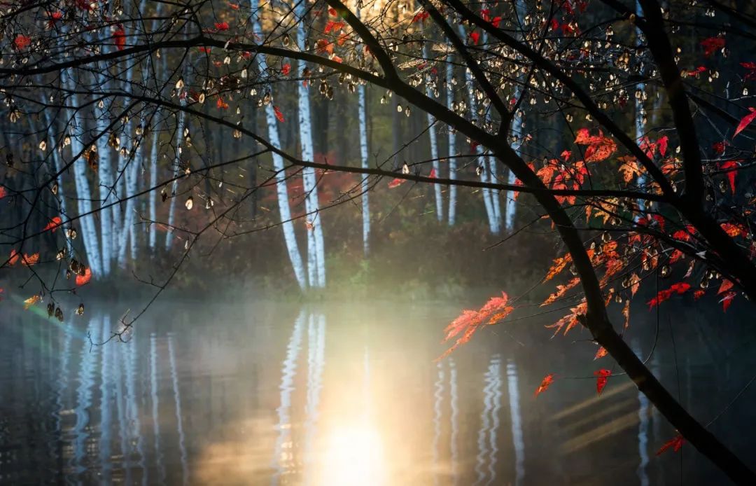 十首最美秋诗,10首最美秋夜诗词