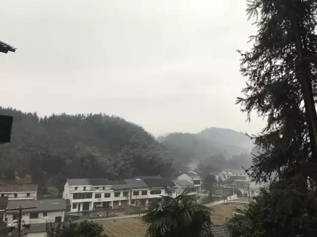 湖南益阳被救女孩,湖南益阳女子被救助