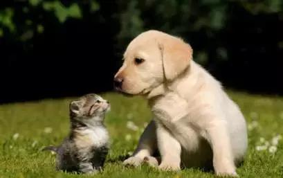 朋友的不同层次的表达,朋友的另外表达方式