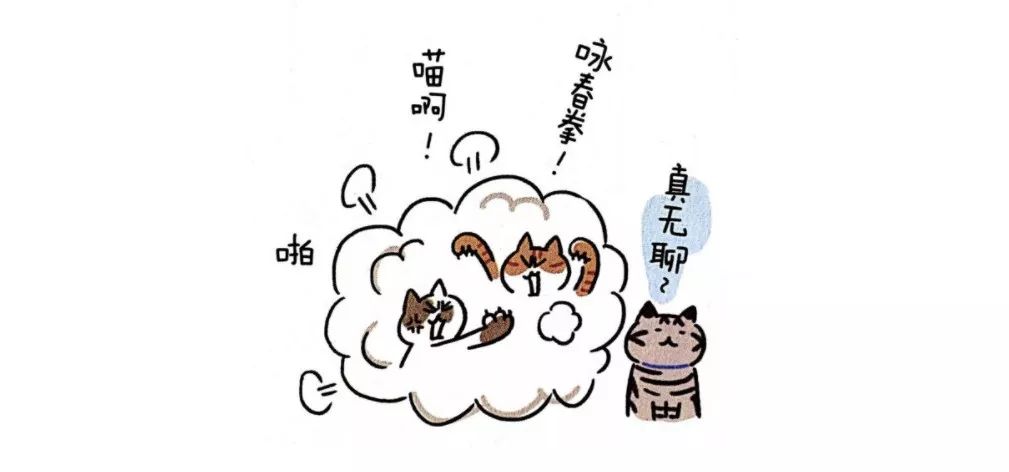 猫咪绝育完看的动画片,猫咪绝育全过程3d演示