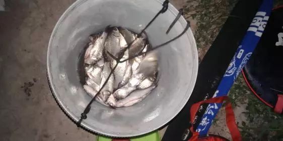 本汀财神鲫竿,本汀财神鲫完整版