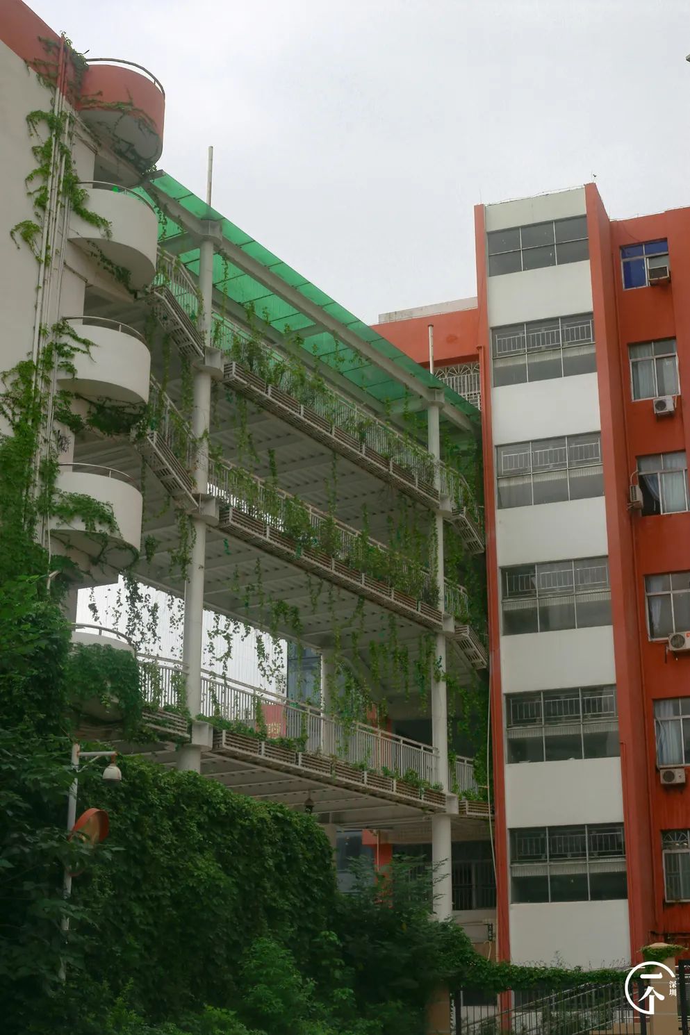 深圳一座被高估的城市,深圳严重被低估的板块