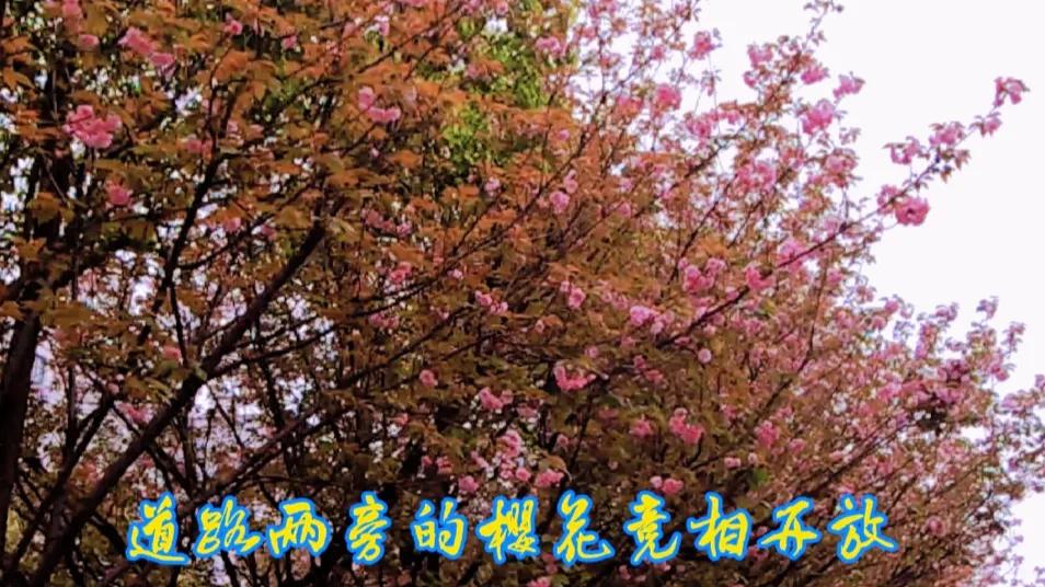 春日新余,美丽钢城新余