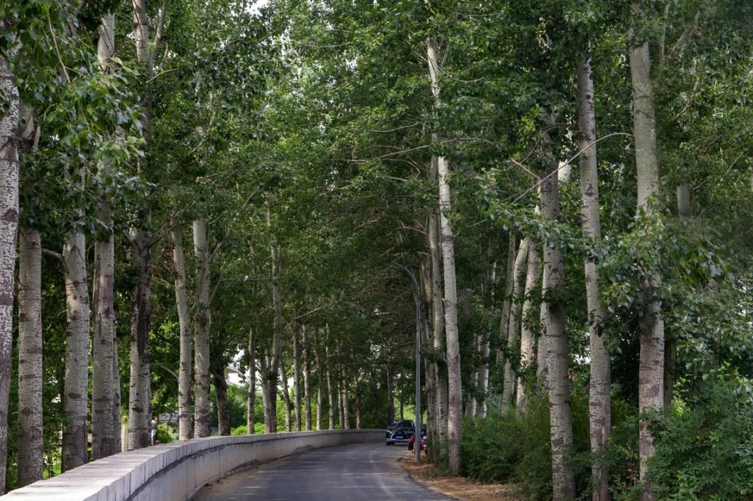 哪凉快哪呆着去绝对是真理,寿光风景优美的地方