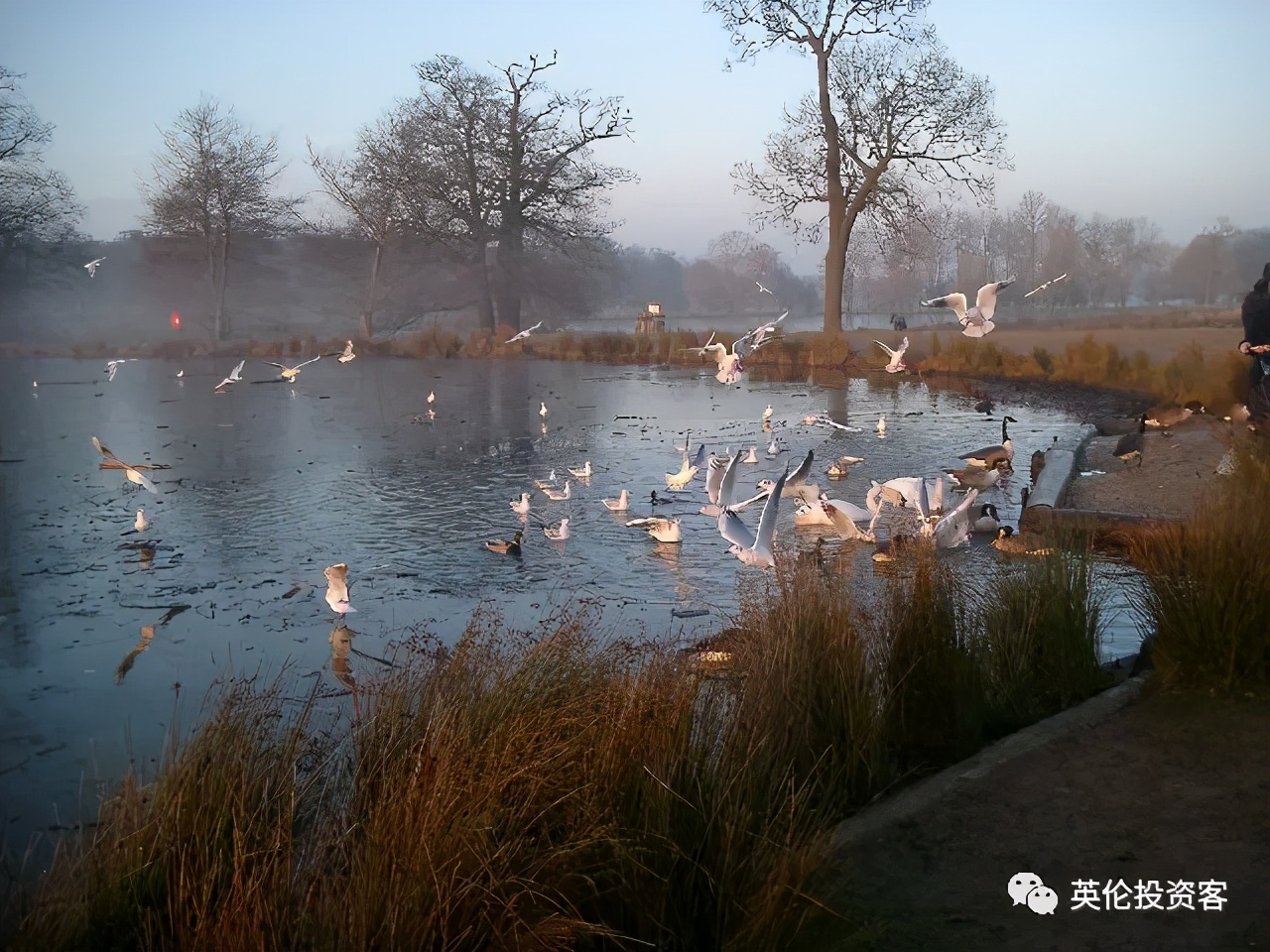 英国伦敦肯辛顿公园,伦敦富人区小众公园