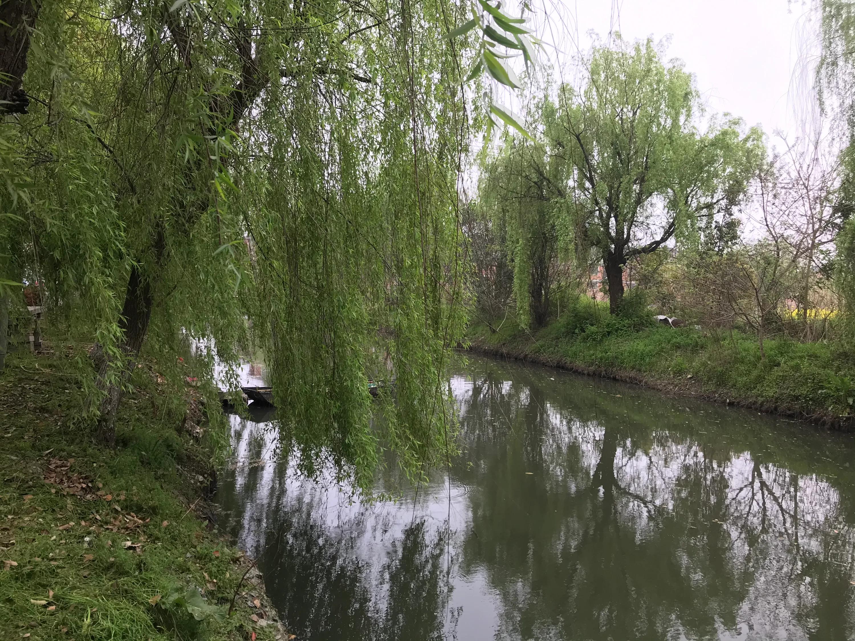 苏州吴江震泽八都,吴江区震泽八都贯桥社区