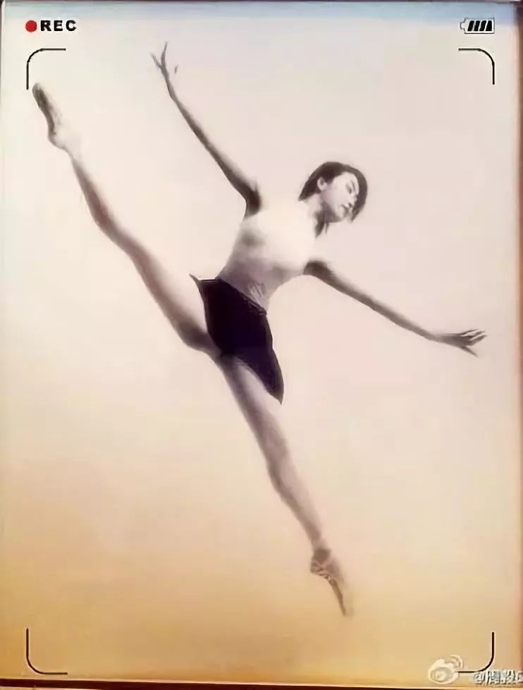 红楼梦女演员骗婚名单,红楼女演员自曝被骗婚