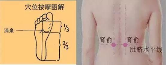 肾虚切忌大补,严重肾虚怎么补肾补脾最快最好