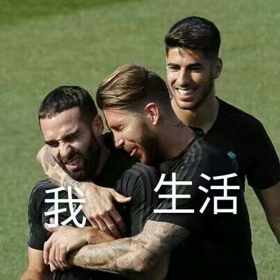 足球的梗和篮球队的梗,有关球的梗