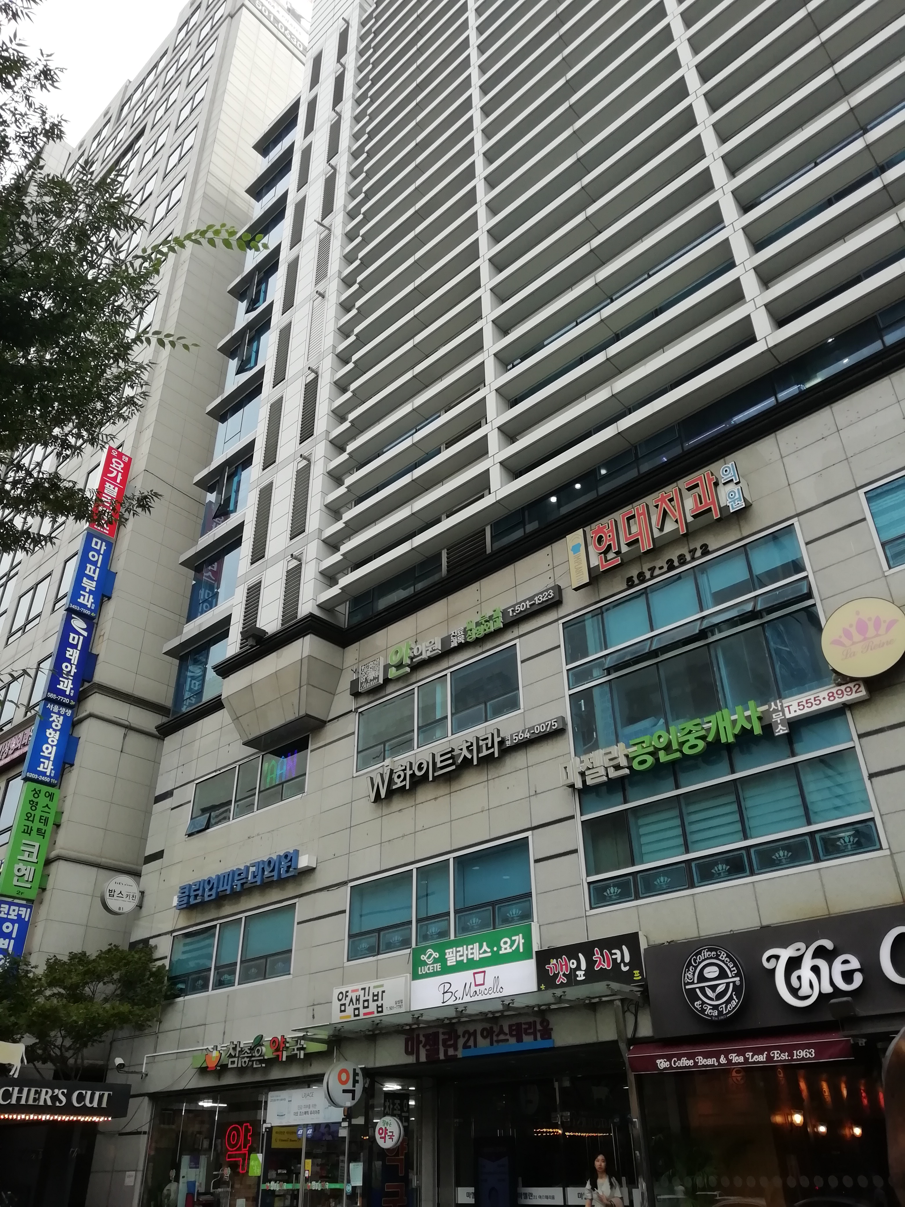 韩国导游现状如何,韩国导游的现状