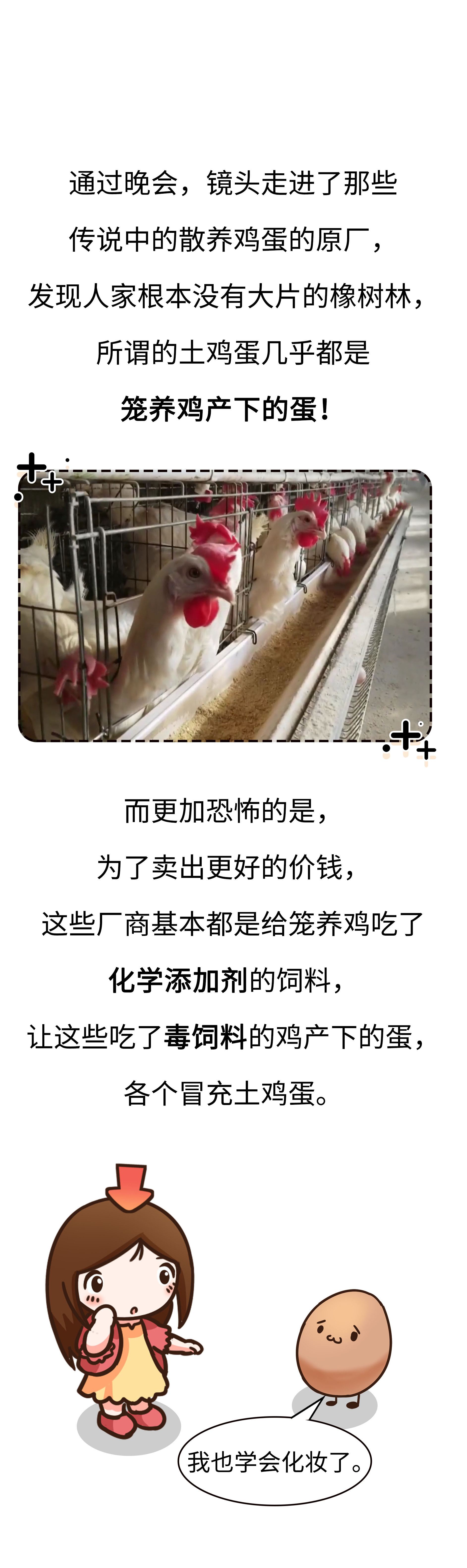 高价格，假广告，毒饲料，如何避免吃到不靠谱的鸡蛋（菲李漫画）