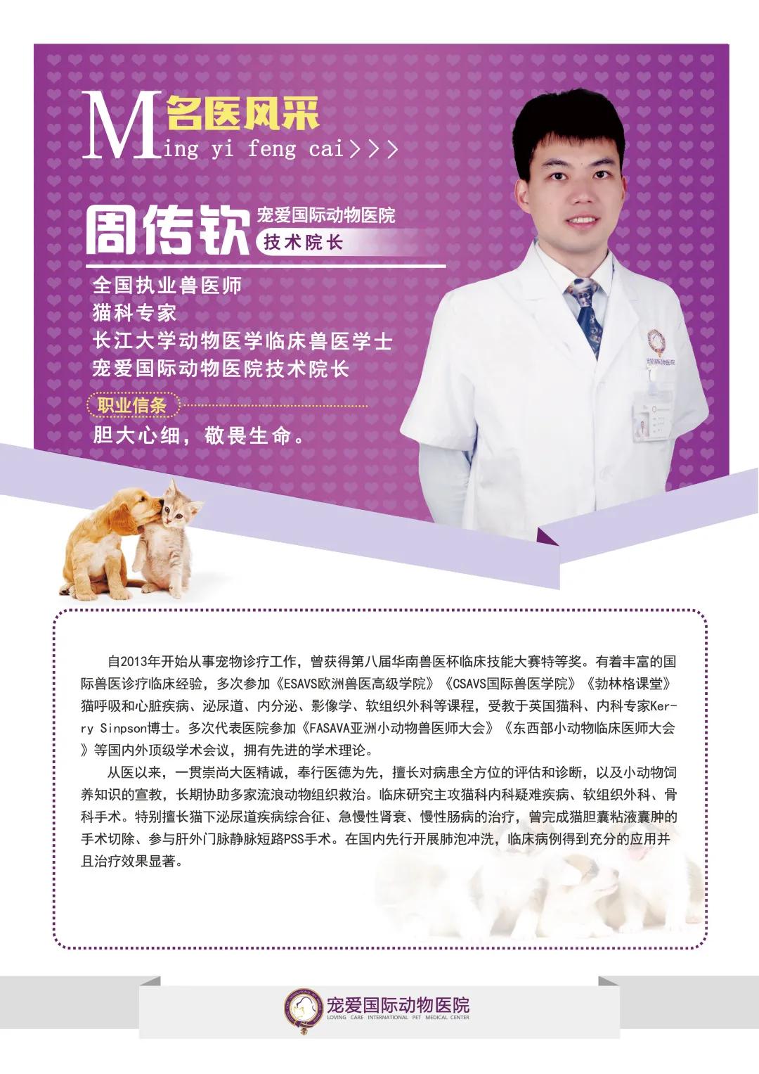 瀹犵埍鍥介檯鍔ㄧ墿鍖婚櫌闄㈣,瀹犵埍鍥介檯鍔ㄧ墿鍖婚櫌浣撳唴椹辫櫕