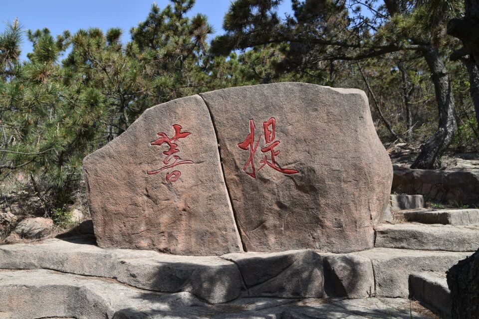 曾经的青岛雨林谷，摇身一变身价爆涨，门票太贵游人稀少